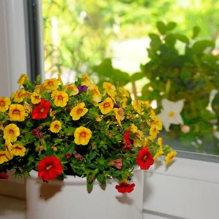 Im Gruenen Haus