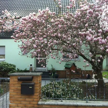 Im Gruenen Haus Apartman *