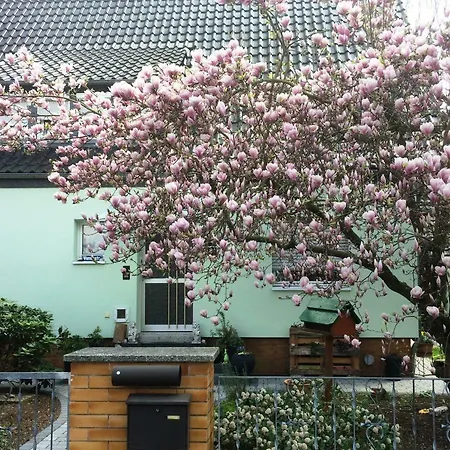 Im Gruenen Haus Apartman *
